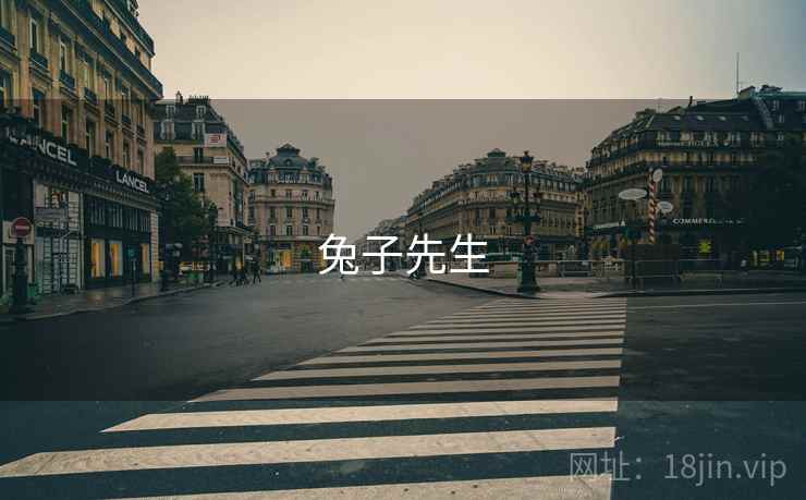 兔子先生