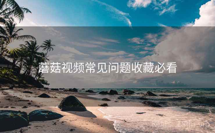 蘑菇视频常见问题收藏必看