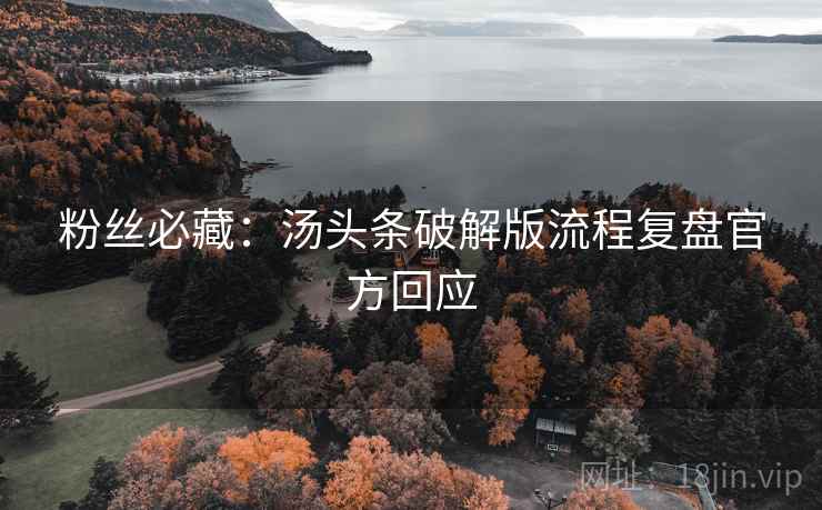 粉丝必藏：汤头条破解版流程复盘官方回应