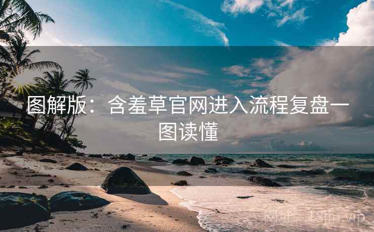 图解版：含羞草官网进入流程复盘一图读懂