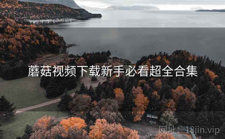 蘑菇视频下载新手必看超全合集